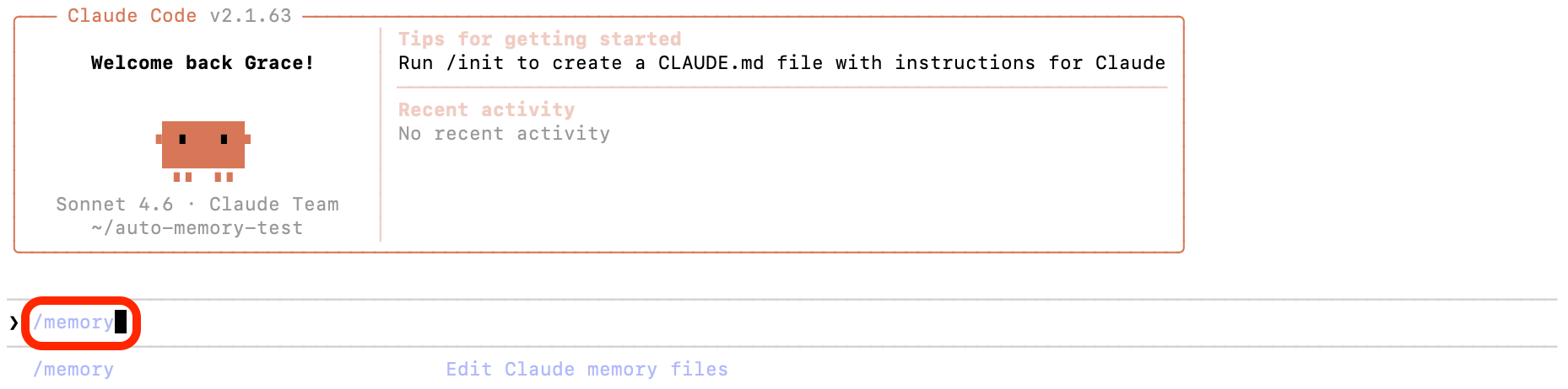 `/memory` 명령어 실행 화면 | 인포그랩 GitLab